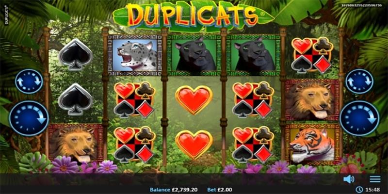 Duplicats