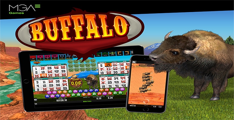 Buffalo Bingo