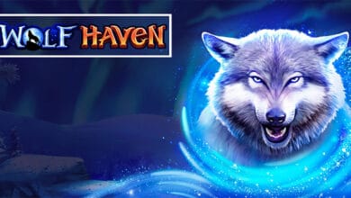 Wolf Haven