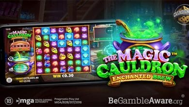 The Magic Cauldron Enchanted Brew